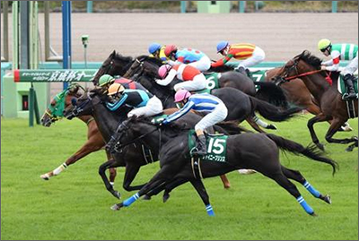 �����ե�������HC