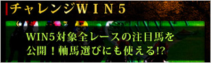 ƥ֡WIN5